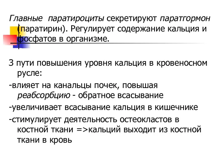 Главные паратироциты секретируют паратгормон (паратирин). Регулирует содержание кальция и фосфатов в