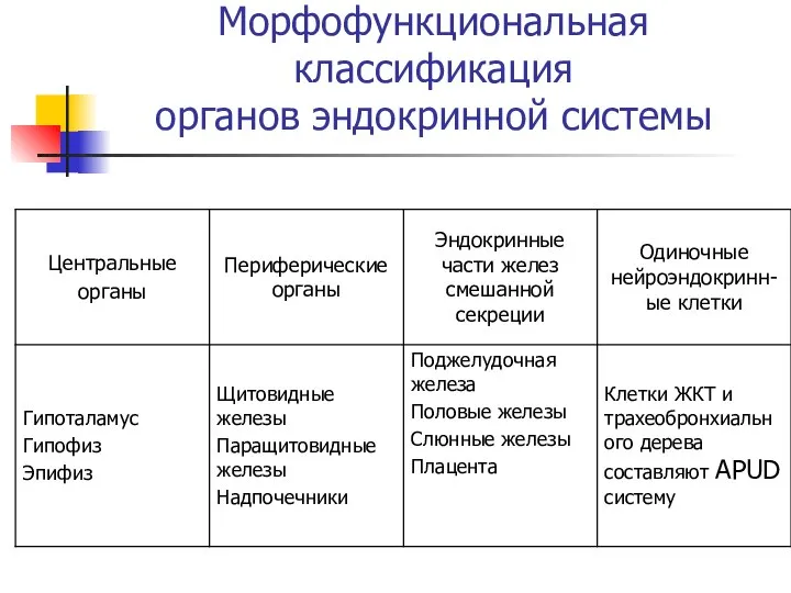 Морфофункциональная классификация органов эндокринной системы