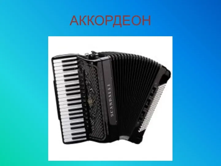 АККОРДЕОН