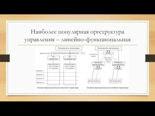 Наиболее популярная оргструктура управления – линейно-функциональная