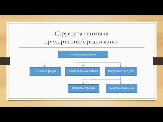 Структура капитала предприятия/организации