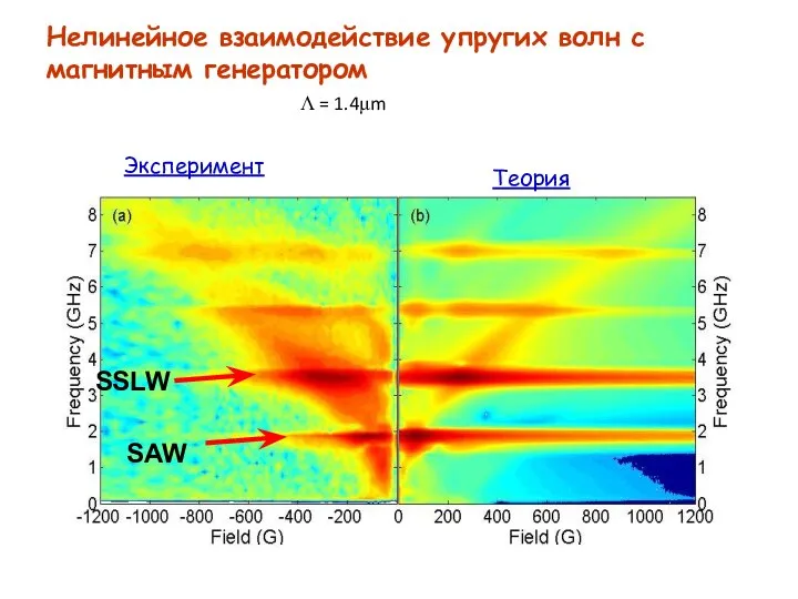 Нелинейное взаимодействие упругих волн с магнитным генератором Эксперимент Теория Λ = 1.4μm SAW SSLW