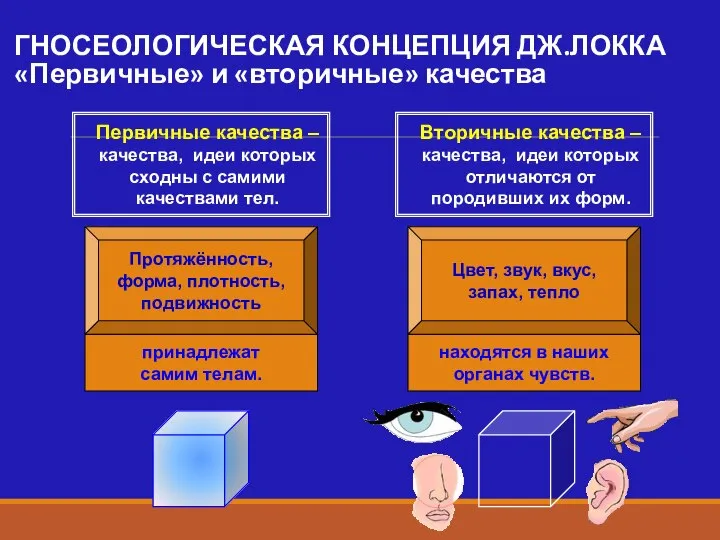 Протяжённость, форма, плотность, подвижность Цвет, звук, вкус, запах, тепло ГНОСЕОЛОГИЧЕСКАЯ КОНЦЕПЦИЯ