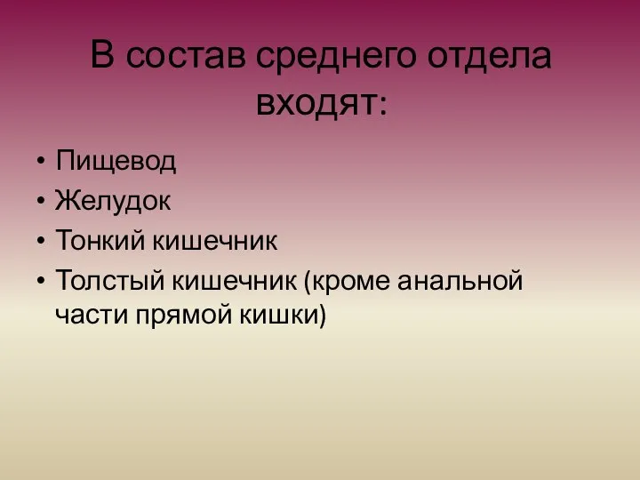 В состав среднего отдела входят: Пищевод Желудок Тонкий кишечник Толстый кишечник (кроме анальной части прямой кишки)