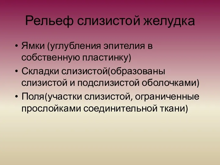 Рельеф слизистой желудка Ямки (углубления эпителия в собственную пластинку) Складки слизистой(образованы