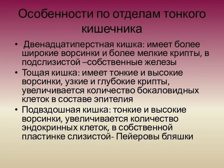 Особенности по отделам тонкого кишечника Двенадцатиперстная кишка: имеет более широкие ворсинки