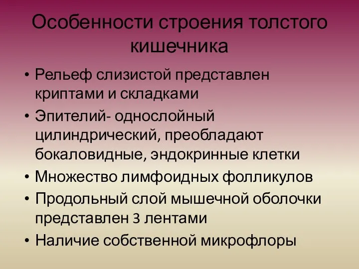 Особенности строения толстого кишечника Рельеф слизистой представлен криптами и складками Эпителий-