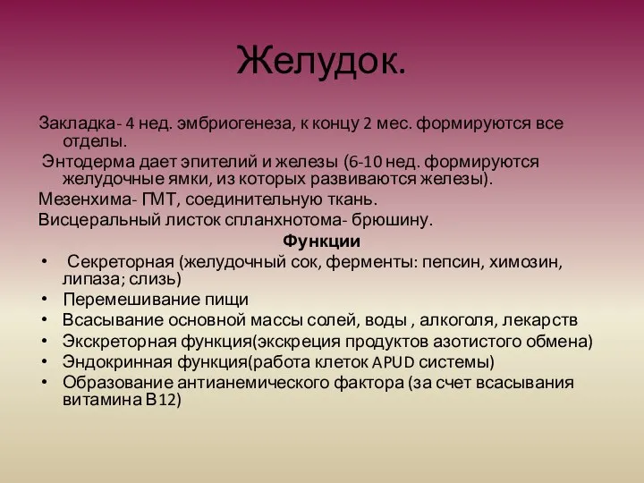 Желудок. Закладка- 4 нед. эмбриогенеза, к концу 2 мес. формируются все