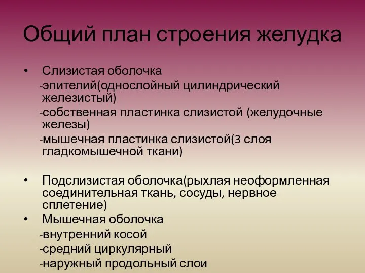 Общий план строения желудка Слизистая оболочка -эпителий(однослойный цилиндрический железистый) -собственная пластинка