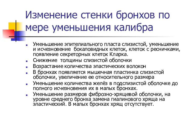 Изменение стенки бронхов по мере уменьшения калибра Уменьшение эпителиального пласта слизистой,