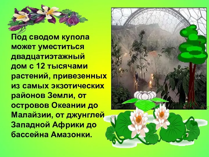 Под сводом купола может уместиться двадцатиэтажный дом с 12 тысячами растений,