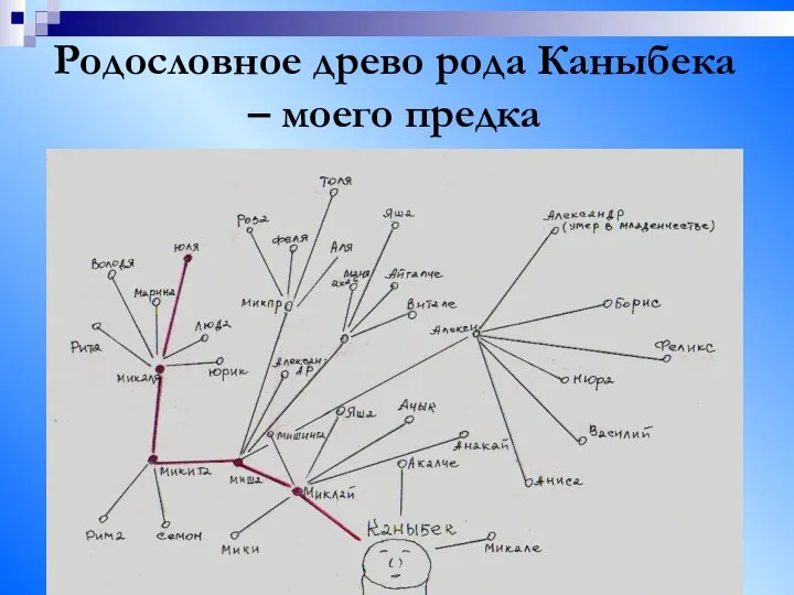 Родословное древо рода Каныбека – моего предка