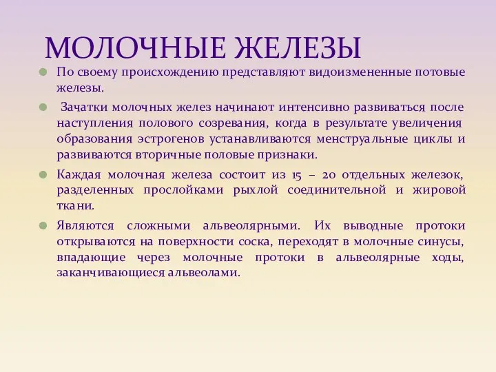 МОЛОЧНЫЕ ЖЕЛЕЗЫ По своему происхождению представляют видоизмененные потовые железы. Зачатки молочных