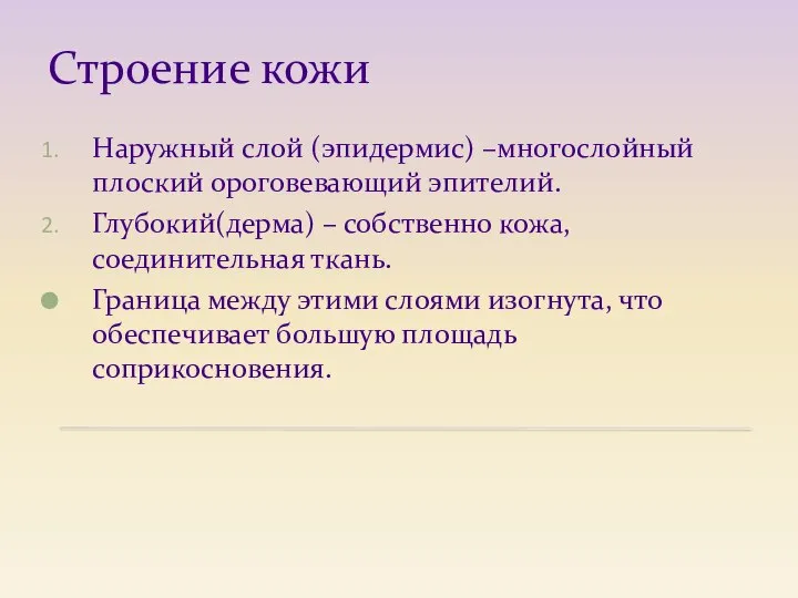 Строение кожи Наружный слой (эпидермис) –многослойный плоский ороговевающий эпителий. Глубокий(дерма) –