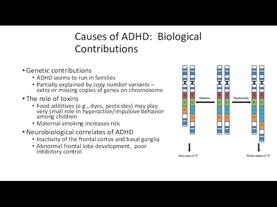 Causes of ADHD: Biological Contributions Genetic contributions ADHD seems to run