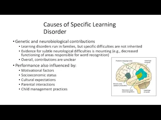 Causes of Specific Learning Disorder Genetic and neurobiological contributions Learning disorders