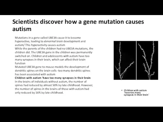 Scientists discover how a gene mutation causes autism Children with autism