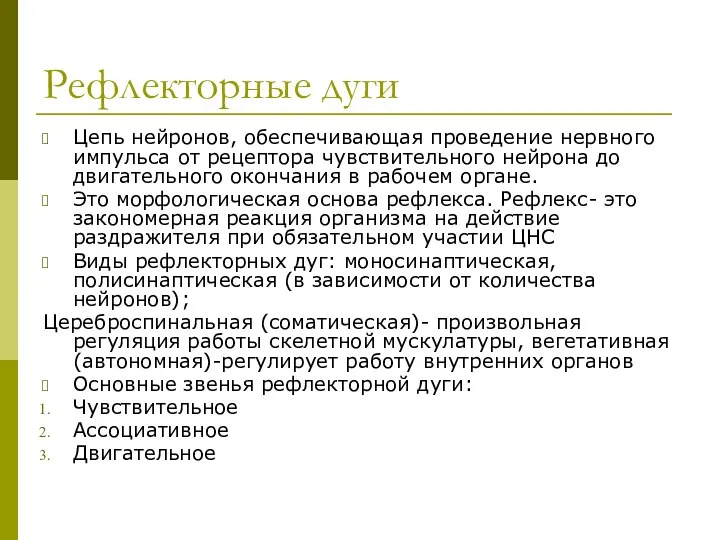 Рефлекторные дуги Цепь нейронов, обеспечивающая проведение нервного импульса от рецептора чувствительного