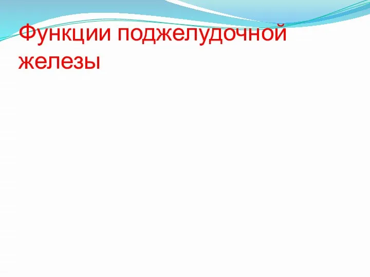 Функции поджелудочной железы