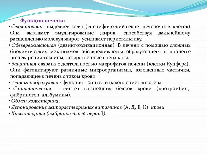 Функции печени: Секреторная - выделяет желчь (специфический секрет печеночных клеток). Она