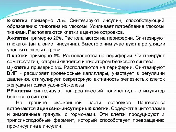 B-клетки примерно 70%. Синтезируют инсулин, способствующий образованию гликогена из глюкозы. Усиливает