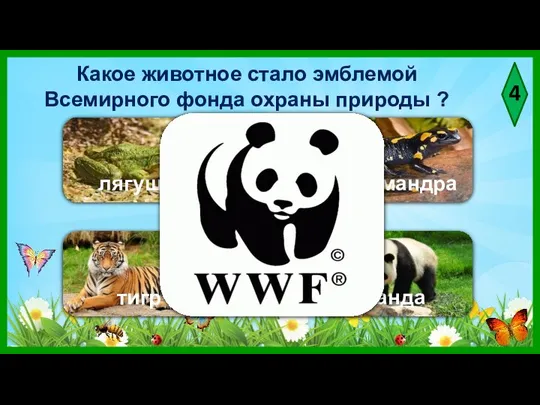 4 Какое животное стало эмблемой Всемирного фонда охраны природы ? лягушка саламандра тигр панда