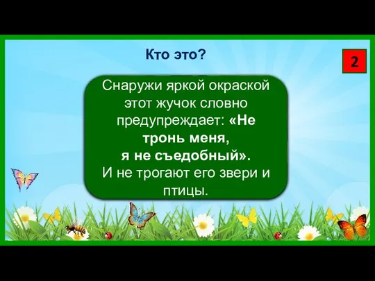 2 Снаружи яркой окраской этот жучок словно предупреждает: «Не тронь меня,