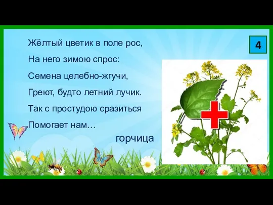 4 Жёлтый цветик в поле рос, На него зимою спрос: Семена