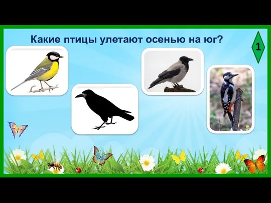 1 Какие птицы улетают осенью на юг?