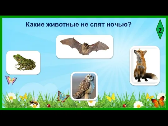 2 Какие животные не спят ночью?