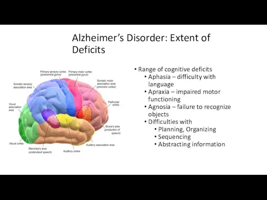 Alzheimer’s Disorder: Extent of Deficits Range of cognitive deficits Aphasia –