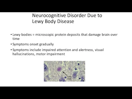 Neurocognitive Disorder Due to Lewy Body Disease Lewy bodies = microscopic