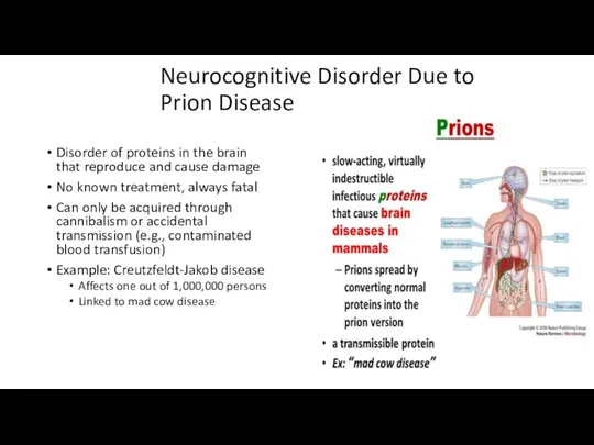 Neurocognitive Disorder Due to Prion Disease Disorder of proteins in the