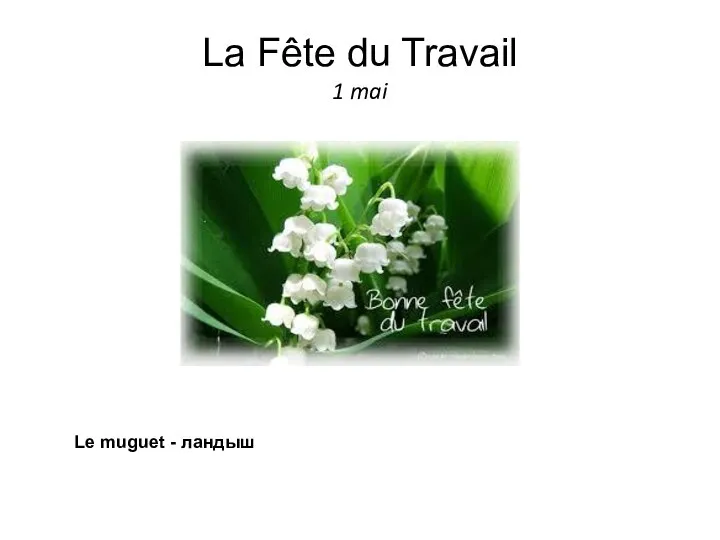 La Fête du Travail 1 mai Le muguet - ландыш