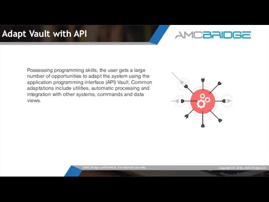 Adapt Vault with API Possessing programming skills, the user gets a