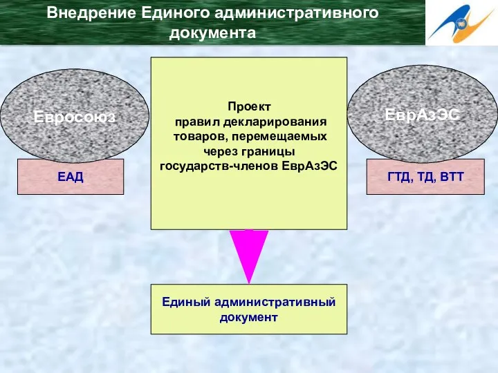 Внедрение Единого административного документа Проект правил декларирования товаров, перемещаемых через границы