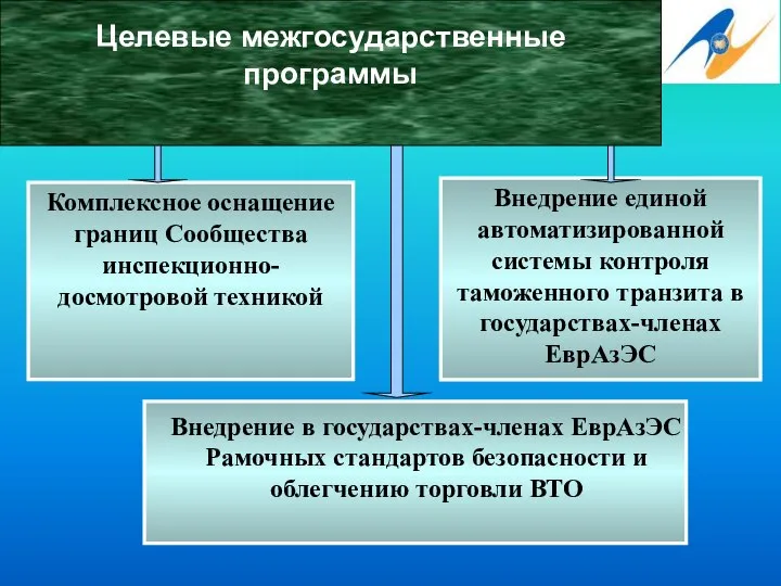 Целевые межгосударственные программы Комплексное оснащение границ Сообщества инспекционно-досмотровой техникой Внедрение единой