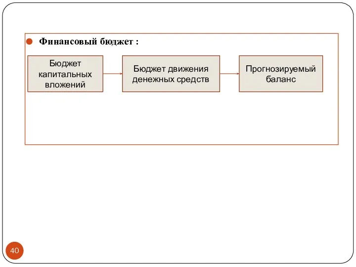 Финансовый бюджет : Бюджет капитальных вложений Бюджет движения денежных средств Прогнозируемый баланс