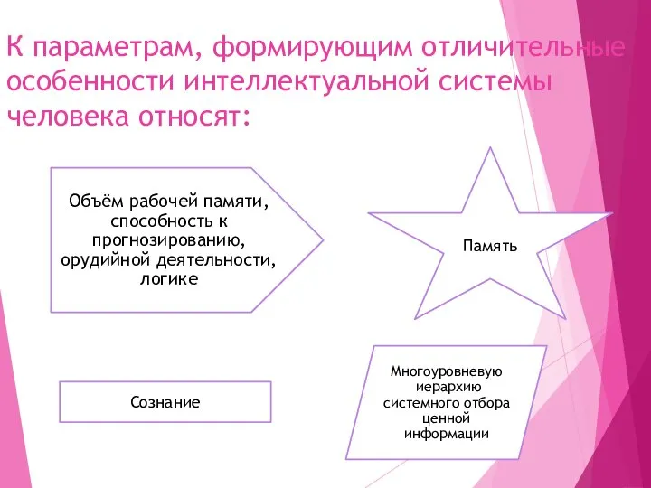 К параметрам, формирующим отличительные особенности интеллектуальной системы человека относят: