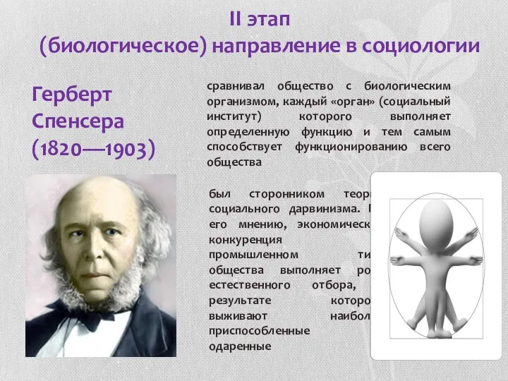 II этап (биологическое) направление в социологии Герберт Спенсера (1820—1903) сравнивал общество
