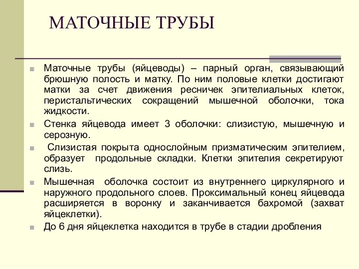 МАТОЧНЫЕ ТРУБЫ Маточные трубы (яйцеводы) – парный орган, связывающий брюшную полость