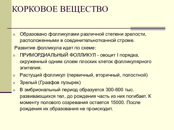 КОРКОВОЕ ВЕЩЕСТВО Образовано фолликулами различной степени зрелости, расположенными в соединительнотканной строме.