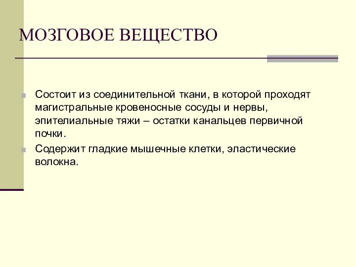 МОЗГОВОЕ ВЕЩЕСТВО Состоит из соединительной ткани, в которой проходят магистральные кровеносные