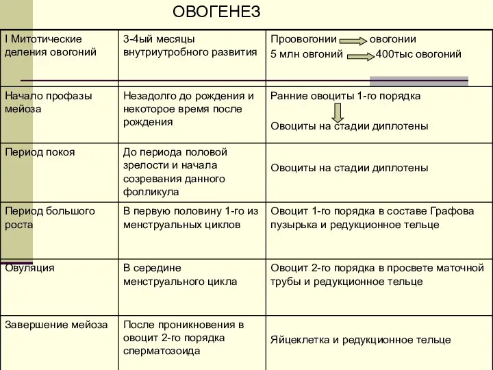 ОВОГЕНЕЗ