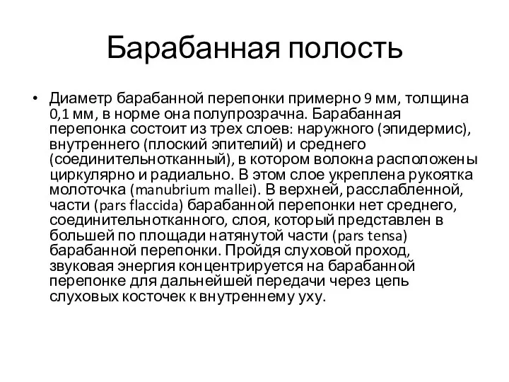 Барабанная полость Диаметр барабанной перепонки примерно 9 мм, толщина 0,1 мм,