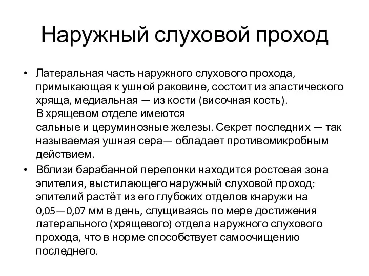 Наружный слуховой проход Латеральная часть наружного слухового прохода, примыкающая к ушной