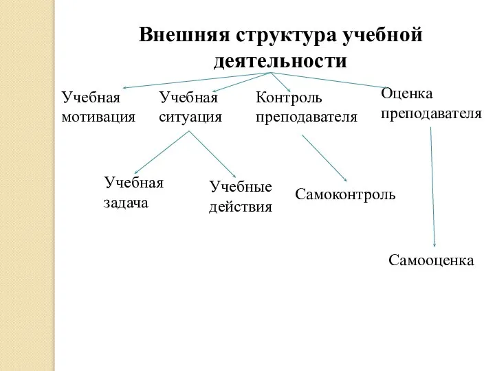 Внешняя структура учебной деятельности Учебная мотивация Учебная ситуация Учебная задача Учебные