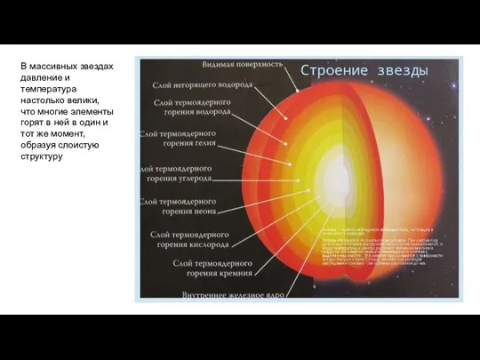 В массивных звездах давление и температура настолько велики, что многие элементы