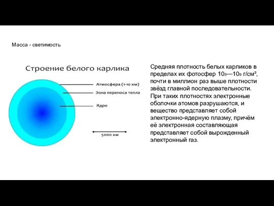 Масса - светимость Средняя плотность белых карликов в пределах их фотосфер