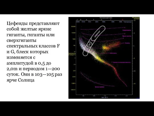 Цефеиды представляют собой желтые яркие гиганты, гиганты или сверхгиганты спектральных классов